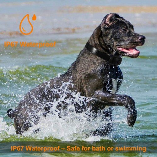 Dog Bark Collar Ip67 Waterproof Rechargeable Dog Training Receiver Shock Collar Receiver Wit 1 unit Kroger