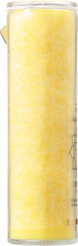 Aloha Bay Palm Wax Manipura Chakra Jar Candle Perspective: left