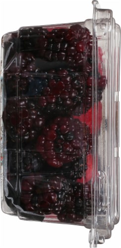 Vari Berries® Raspberry Blueberry Blackberry Variety Berries Perspective: left