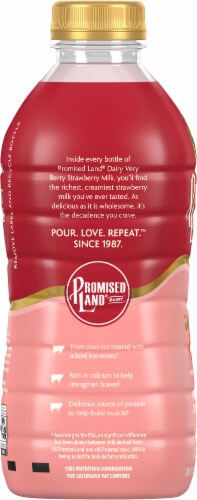 Promised Land® Dairy Strawberry Milk Perspective: left