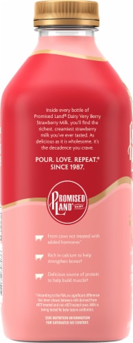 Promised Land® Very Berry Strawberry Flavored Whole Milk Perspective: left