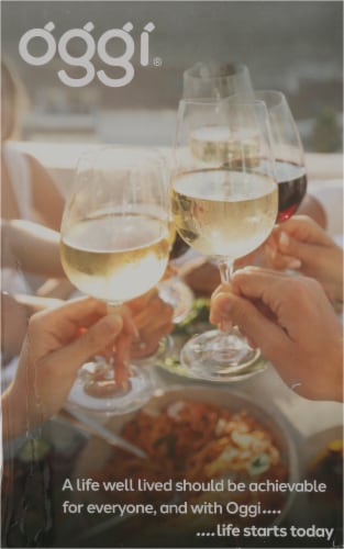 Oggi Stainless Steel Wine Cooler Perspective: left