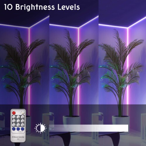 50 ft of led lights deals