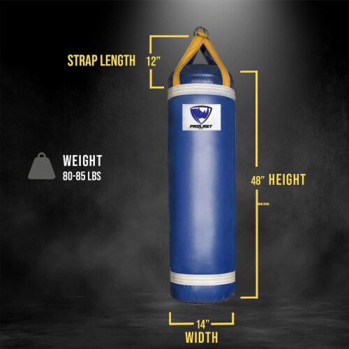 Unfilled heavy bag cheap