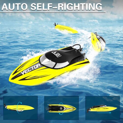 Vector sr65 best sale
