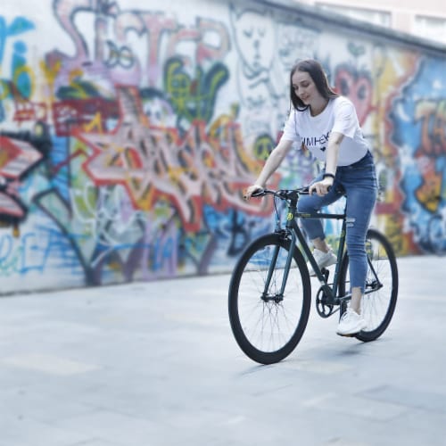 Fixed shop gear commuter