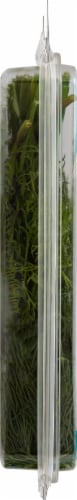 That's Tasty Organic Dill Perspective: left