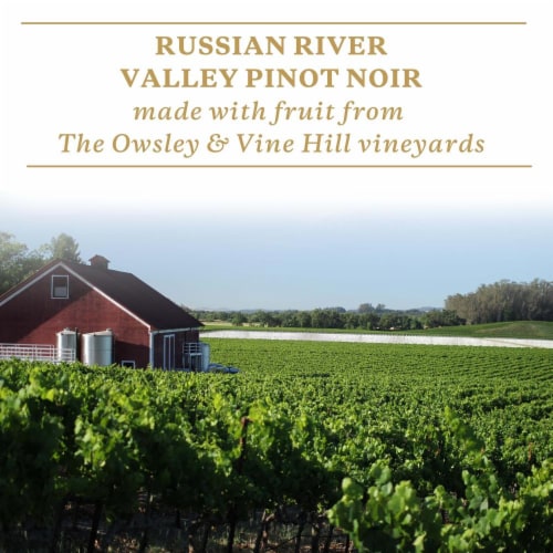 Sonoma-Cutrer Russian River Valley Pinot Noir Dry Red Wine Perspective: left