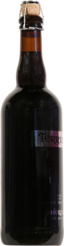 Unibroue Terrible Ale Beer Single Bottle Perspective: left