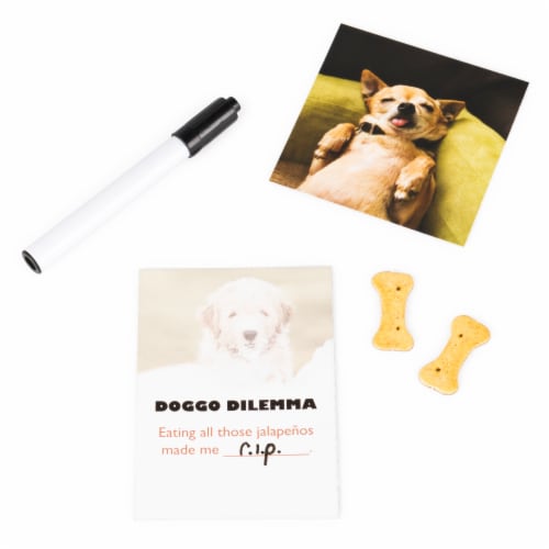 The Dog Game, Hilarious Family Game with Doggos, for Ages 8 and Up Perspective: left
