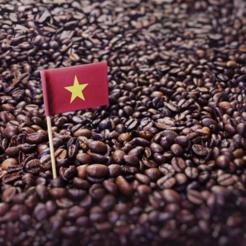 Premium Kaya Kopi Kona Mauna Loa Medium Roast Robusta Arabica Whole Coffee Beans 12oz Perspective: left