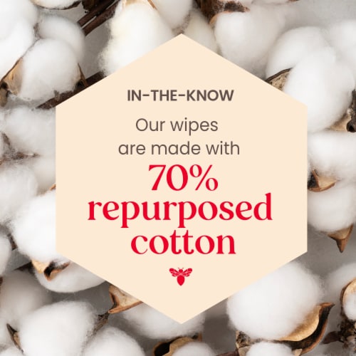 Burt's Bees Purifying Facial Towelettes Perspective: left