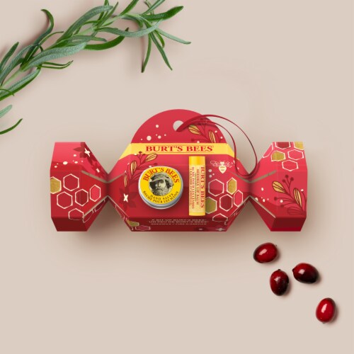 Burt's Bees A Bit of Burt's Bees Hand Salve and Lip Balm Holiday Classic Gift Set Perspective: left