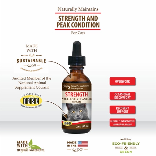 Wapiti Labs Cat Strength - Recovery Support, Overworked, Keep Cats in Peak Condition Perspective: left