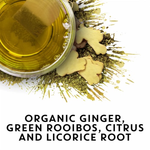 Tazo® Organic Spicy Ginger Tea Perspective: left