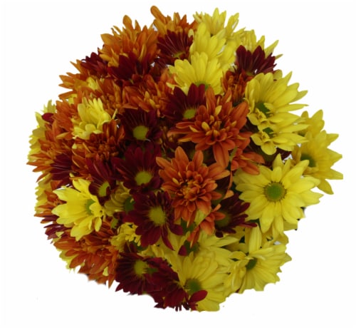 Jumbo Poms Assorted Bouquet Perspective: left