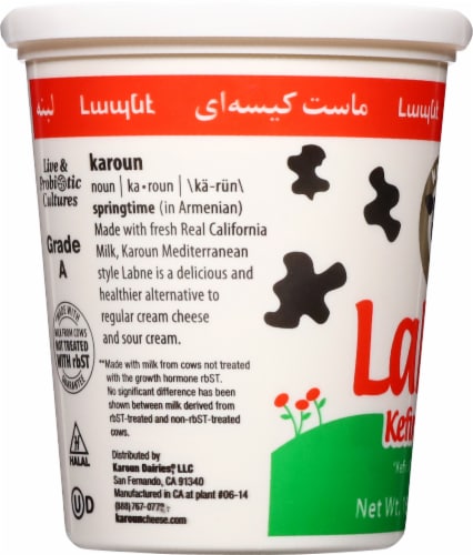 Karoun® Labne Kafir Cheese Perspective: left