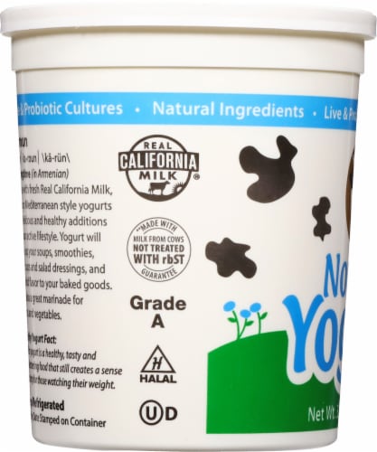Karoun® Dairies Nonfat Yogurt Perspective: left