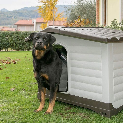 Dog kennel with porch sale