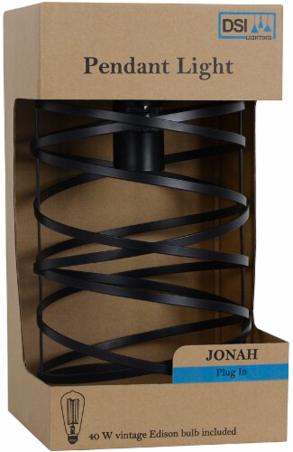 DSI Cylinder Pendant Light Perspective: left