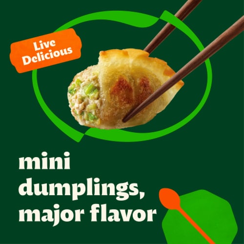 Bibigo Mini Wontons Pork & Vegetable Dumplings Perspective: left