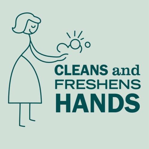 Mrs. Meyer's® Clean Day Birch Wood Liquid Hand Soap Perspective: left