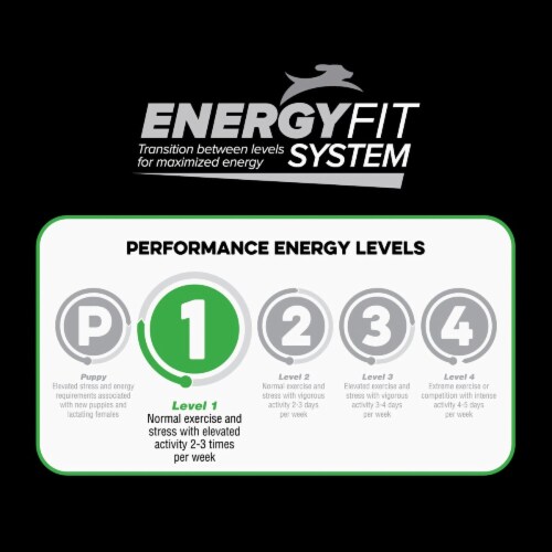 Kent Native Performance 40 Lb. Dry Dog Food Energy Level 1 7266 1 Fred Meyer