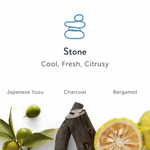 Harry's Odor & Sweat Control Men's Antiperspirant Deodorant Stick Stone Scent Perspective: left