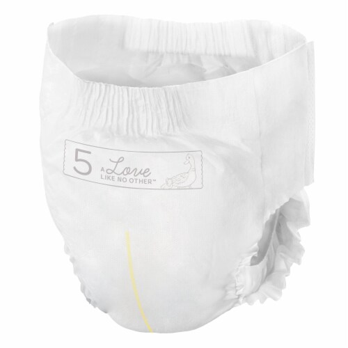 Bambo Nature Dream Toddler Toddler Training Pants Size 5 27 to 40 lbs. 1000016930, 60 Ct Perspective: left