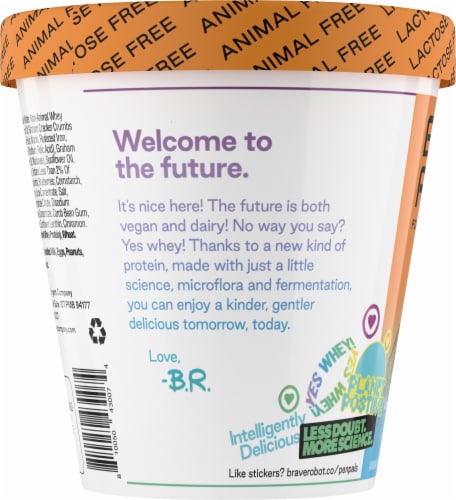 Brave Robot Blueberry Pie Animal-Free Ice Cream Perspective: left