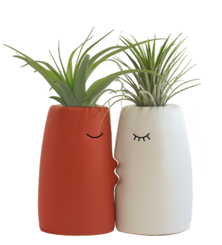 Kiss Me Potted Plant Set Perspective: left