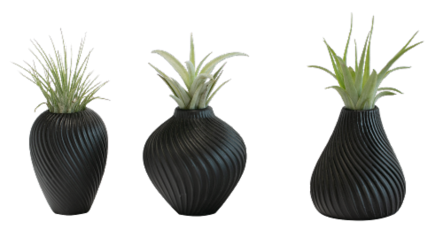 LiveTrends Potted Succulent Perspective: left