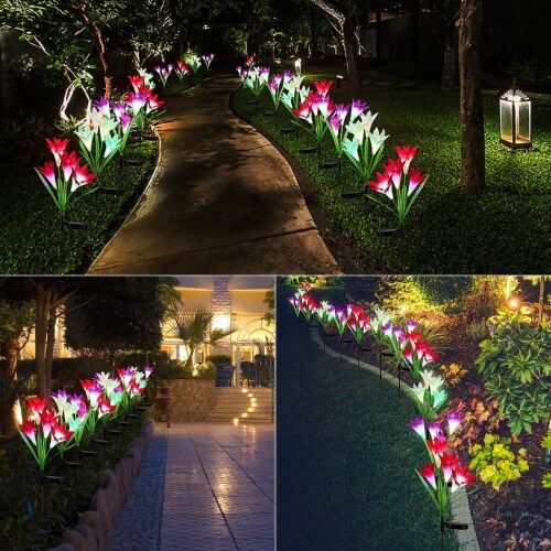 Lily solar lights online