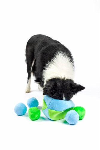 Midlee Hide a Ball Dog Toy - Blue/Green (Large) Perspective: left