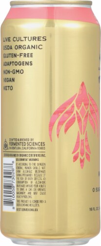 Flying Embers Guava Citra Hard Kombucha Single Can Perspective: left
