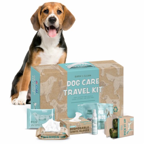 Dog care essentials sale