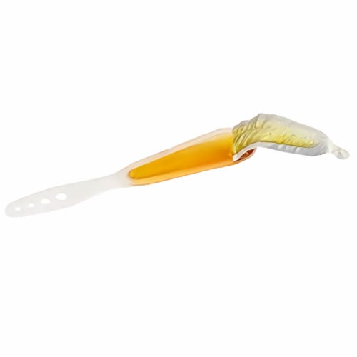 All Regular Price Merchandise – honey
