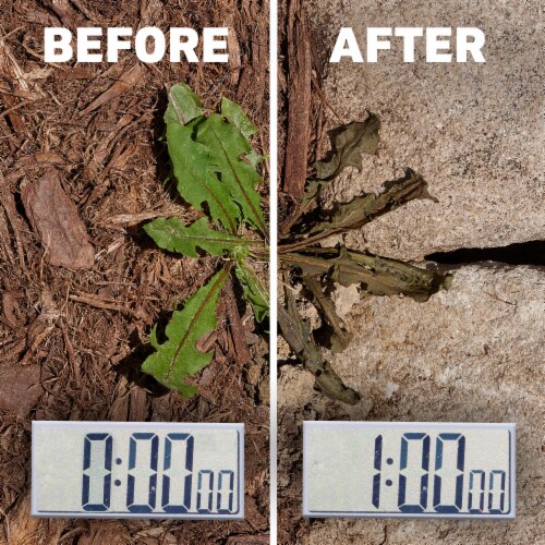 Spruce Weed Killer and Grass Killer Trigger Spray Perspective: left