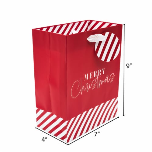 Seasonal Celebrations Merry Christmas Value Cub Gift Bag Perspective: left