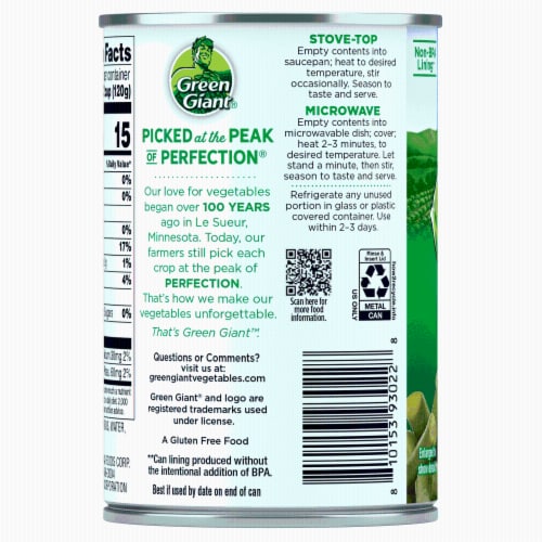 Green Giant® Cut Green Beans Perspective: left