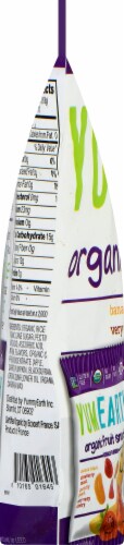 Yum Earth Organics Fruit Snacks Family Share Bag Perspective: left