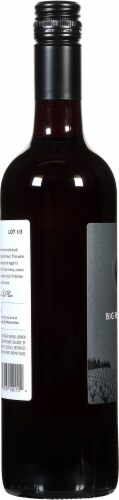 90 + Cellars Lot 113 Big Red Blend Perspective: left