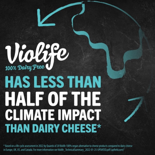 Violife Vegan Spinach Artichoke Dip Perspective: left