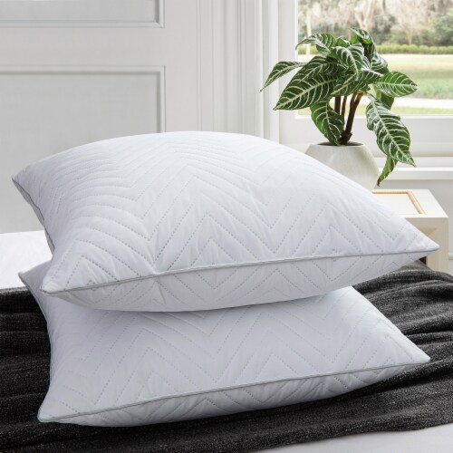 2-Pack Feather Throw Pillow Inserts Ultrasonic Quilting, 18*18