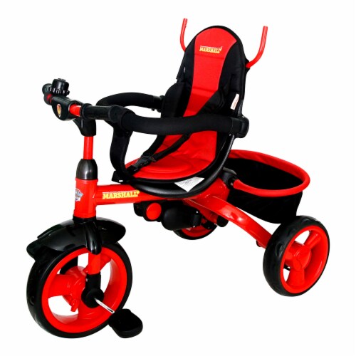 Trike paw patrol clearance