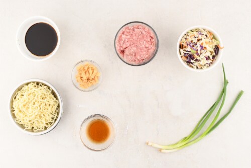 Home Chef Meal Kit Szechuan Pork Noodle Bowl with Crispy Wontons Perspective: left