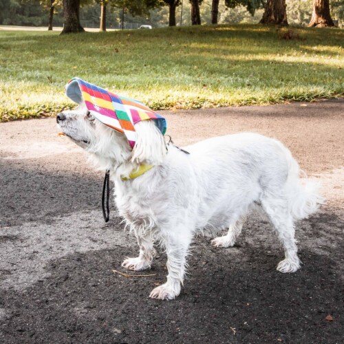 Pet Life Colorfur Floral Uv Protectant Adjustable Fashion Dog Hat