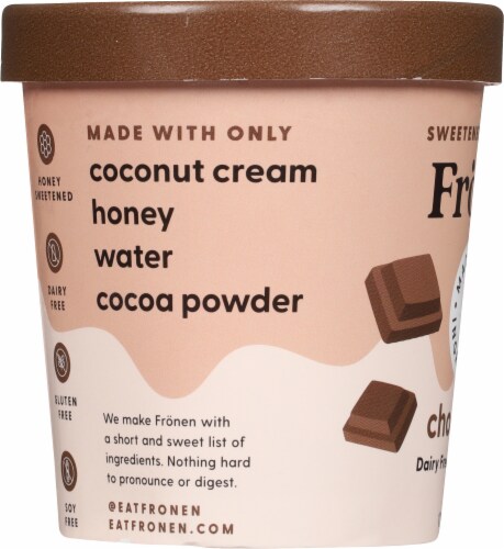 Fronen Chocolate Non-Dairy Frozen Dessert Perspective: left