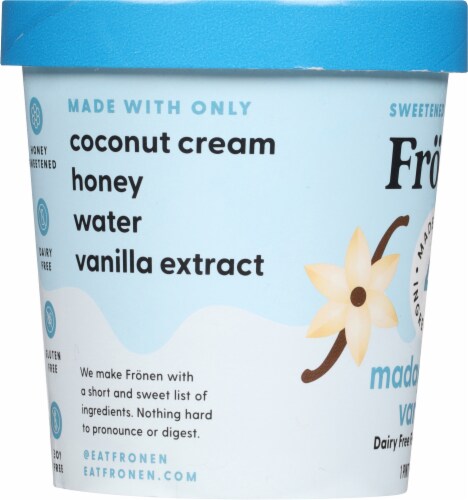 Fronen Madagascar Vanilla Non-Dairy Frozen Dessert Perspective: left