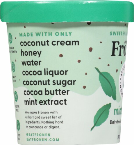 Fronen Dairy Free Mint Chip Frozen Dessert Pint Perspective: left
